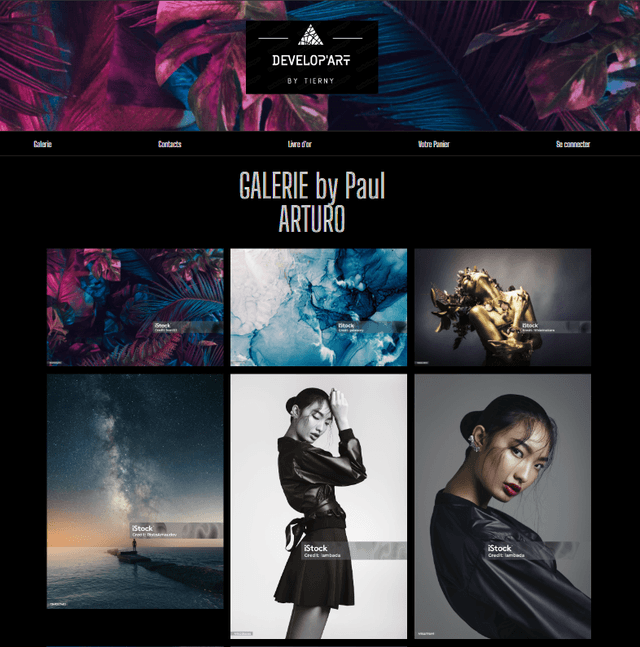 Page de la Galerie