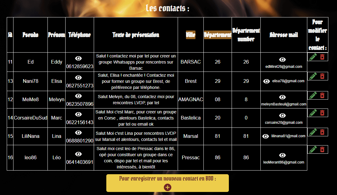 image de la page d'accueil de developart