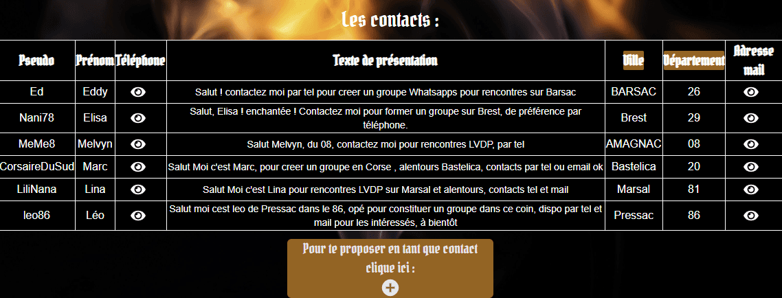 image de la page d'accueil de developart